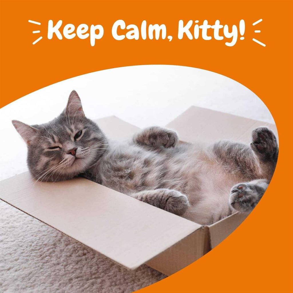 Calming Bites for Cats K202254