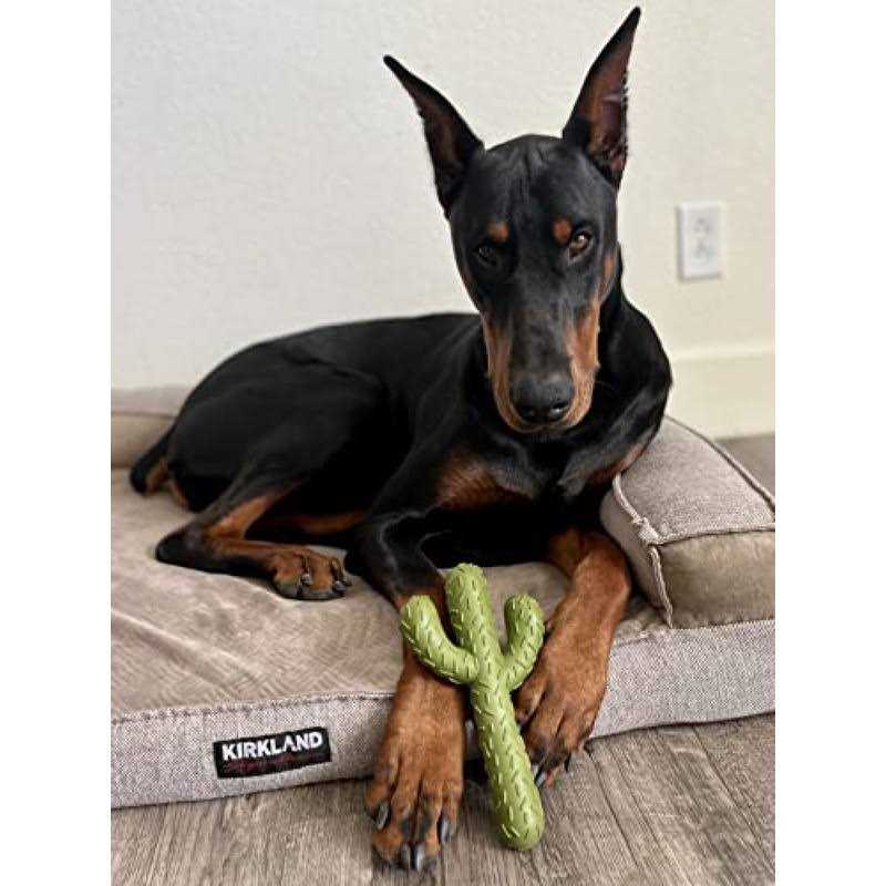 Puppy Teething Chew Toys P158