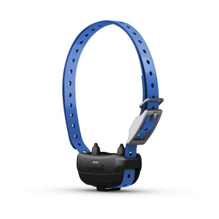 Dog Collar X91586