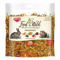 Food From The Wild Treat Medley Rabbit Guinea Pig B290449