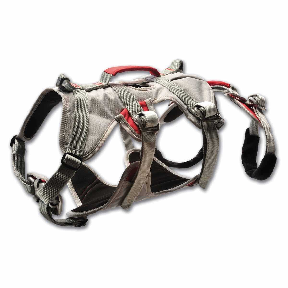 Doubleback Harness N22753
