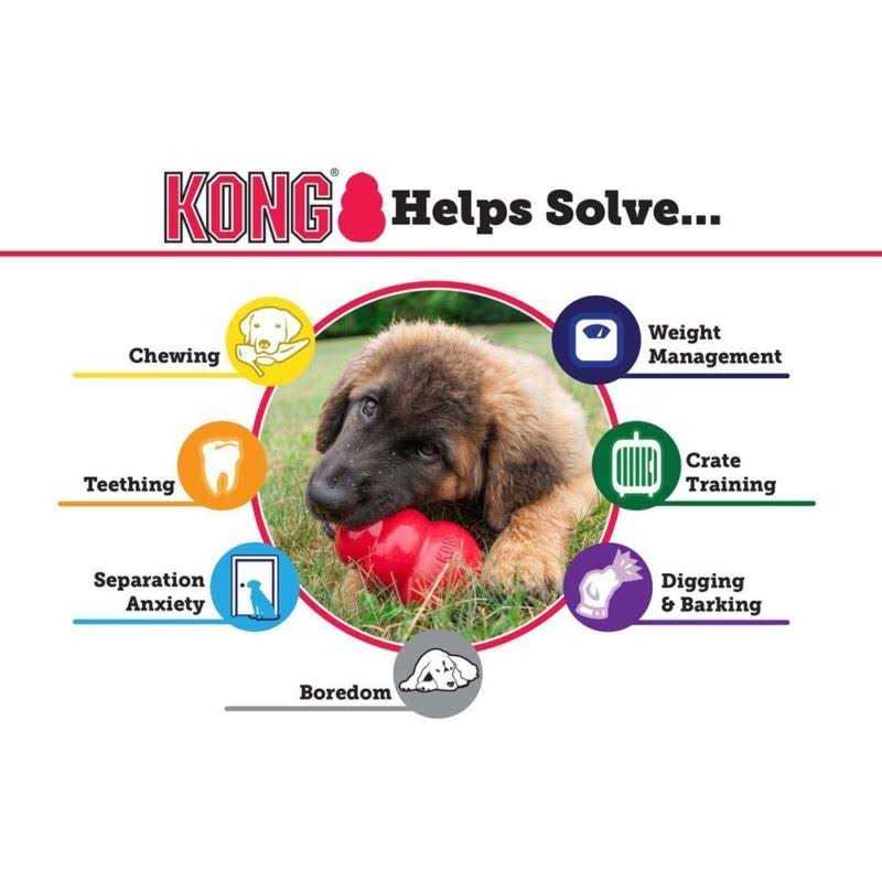 Senior Dog Toy L3568