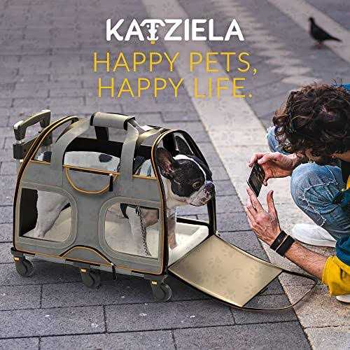 Pet Carrier with Removable Wheels and Double Telescopic Handle A7362