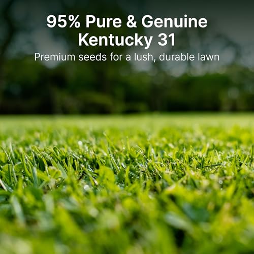 Tall Fescue Grass Seed, 5 lbs Y451029