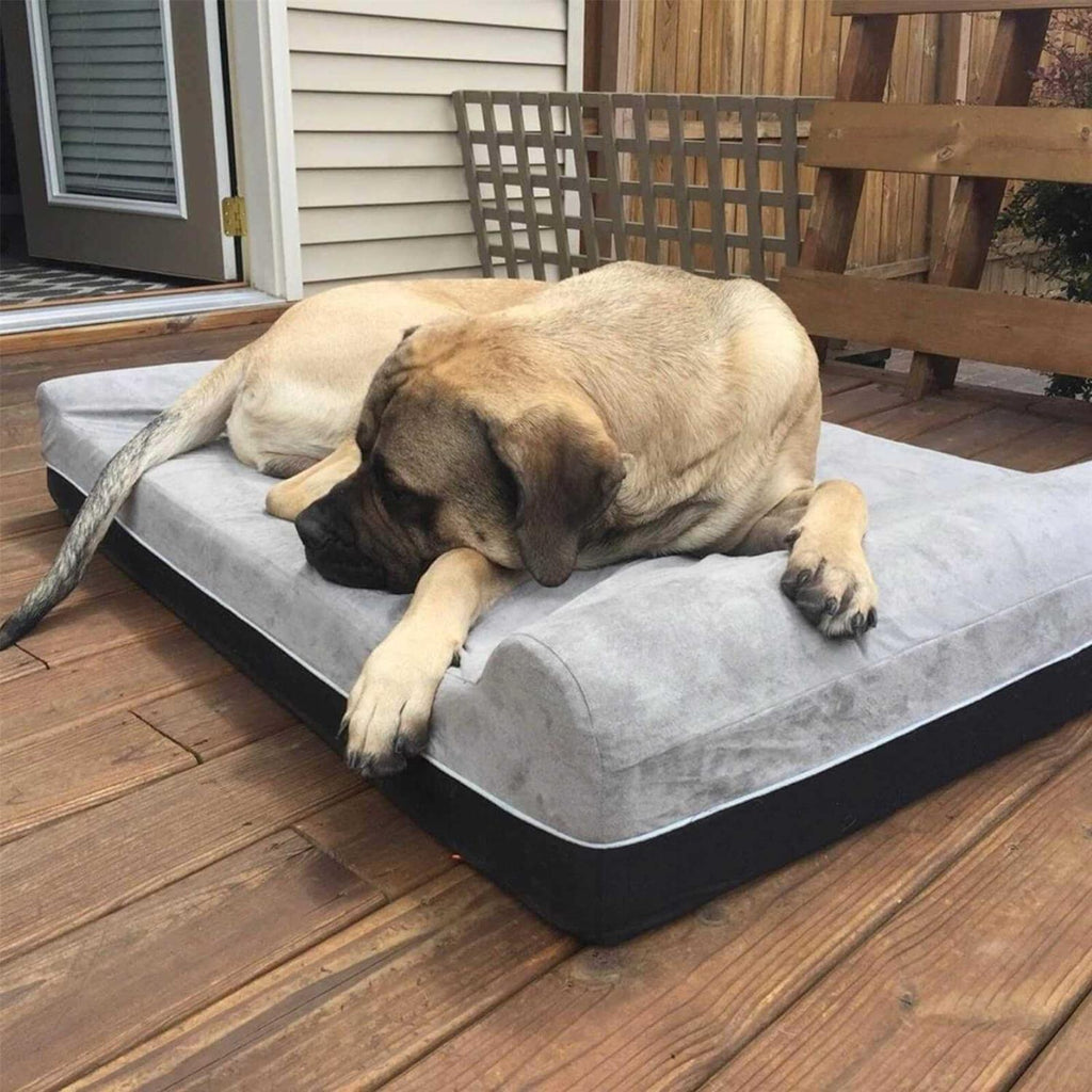 Large Orthopedic Memory Foam Dog Bed K947501