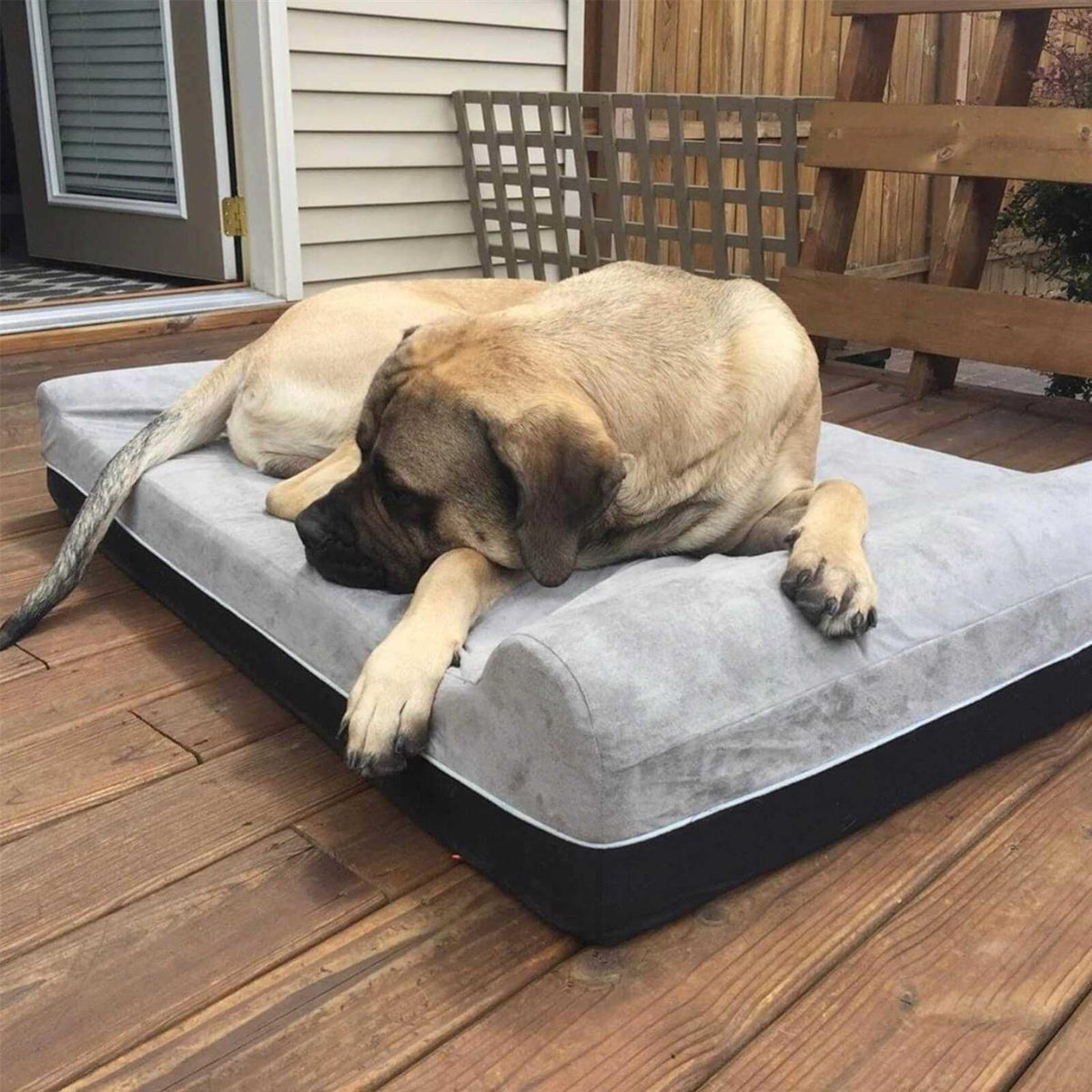 Large Orthopedic Memory Foam Dog Bed K947501