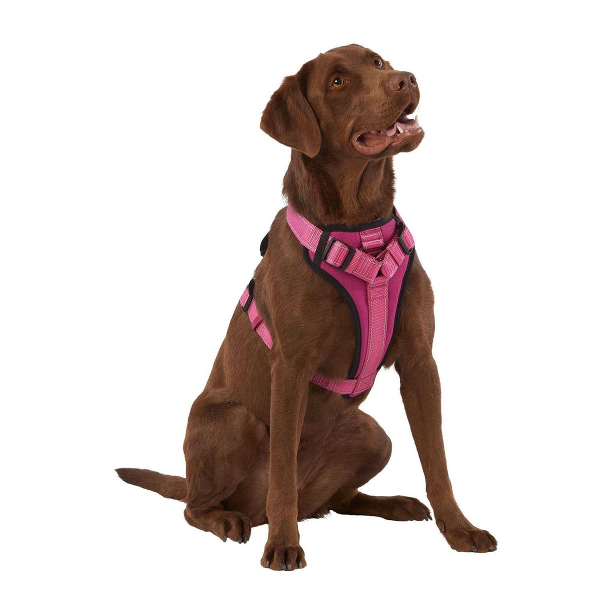 Neoprene Padded Dog Harness Y57029
