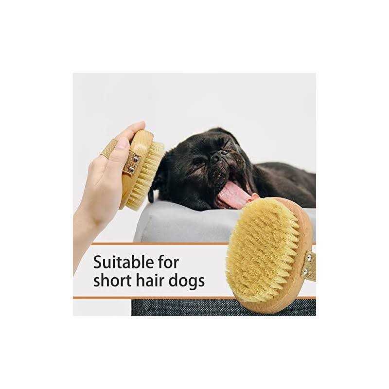 Soft Bristle Dog Brush with Elastic Band U877089