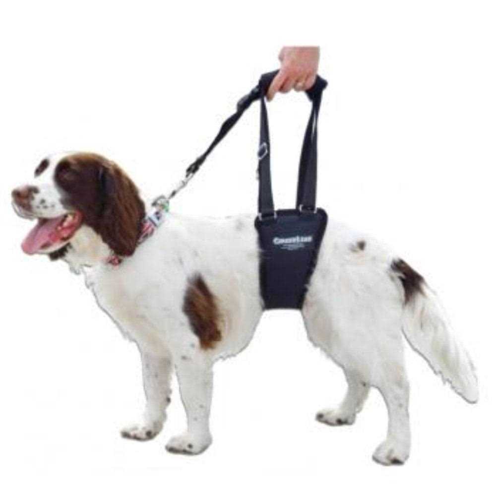 Dog Support Rehabilitation Harness V701267