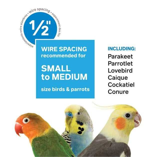 Bird Cage V142112