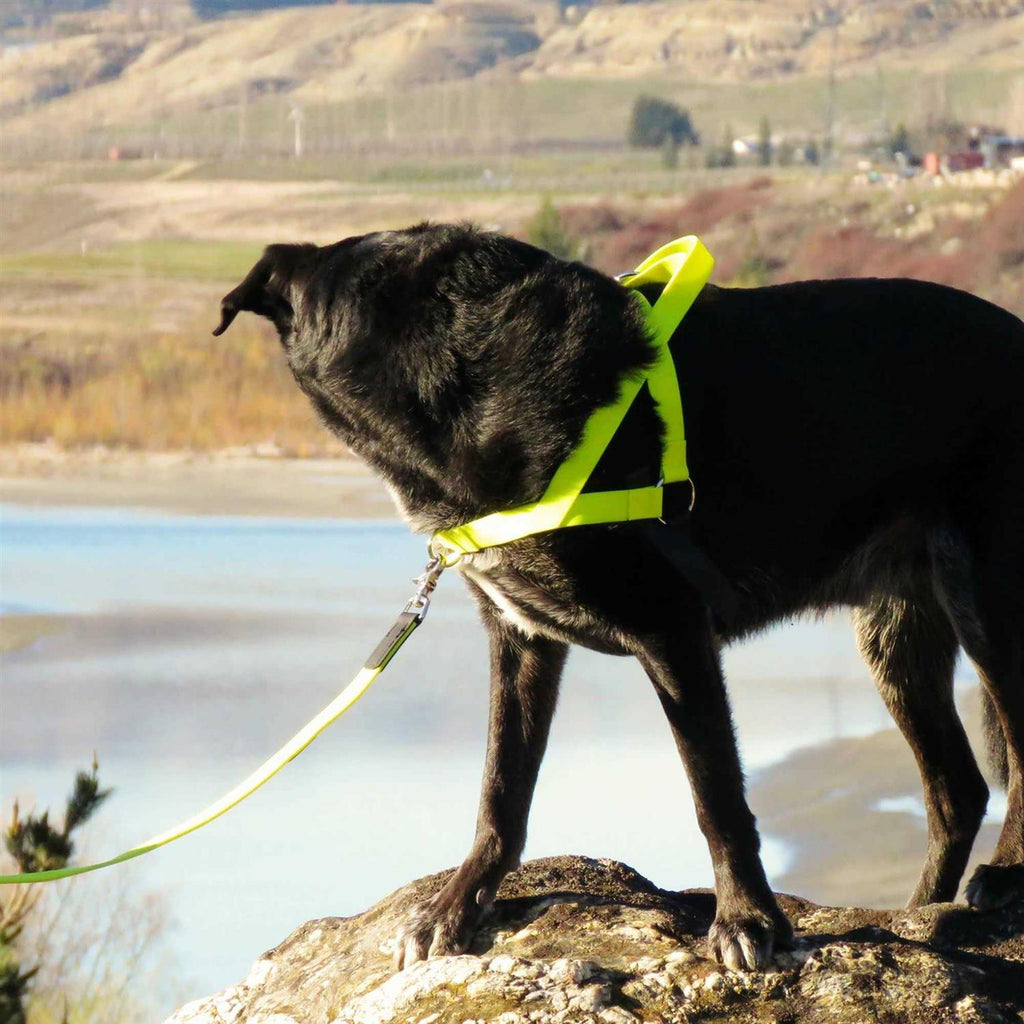 Harness R910163