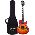 Semi-Hollow Body Electric Guitar Matte Finished with Gigbag P60698