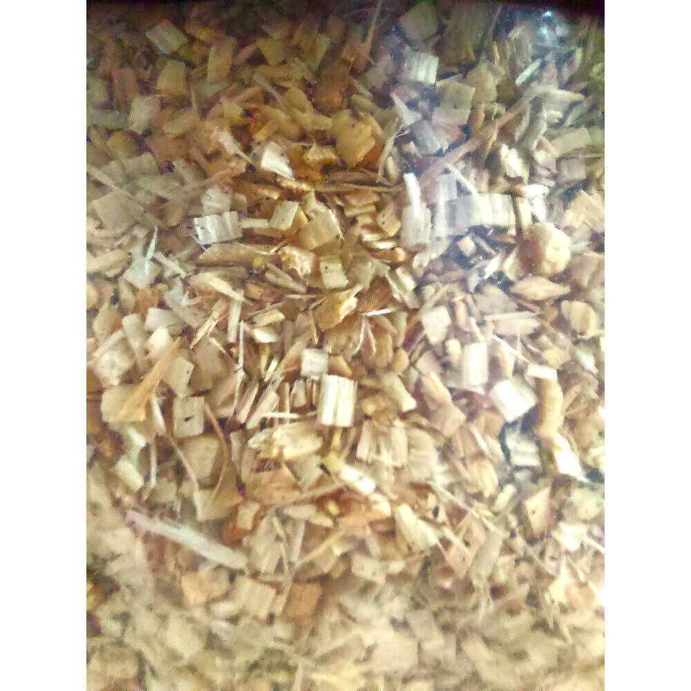 Reptile Pet Supplies N848795