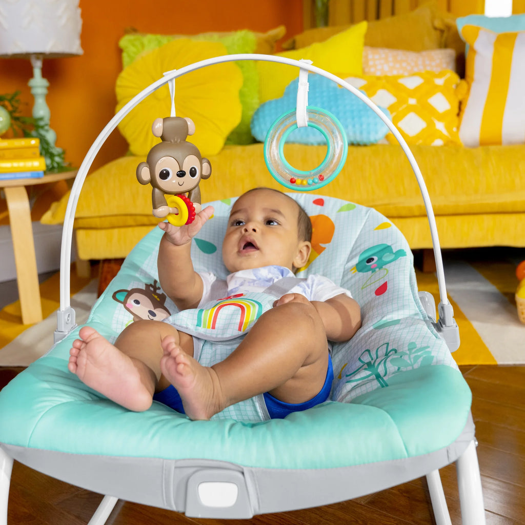 Infant to Toddler Rocker with Vibrations B56610