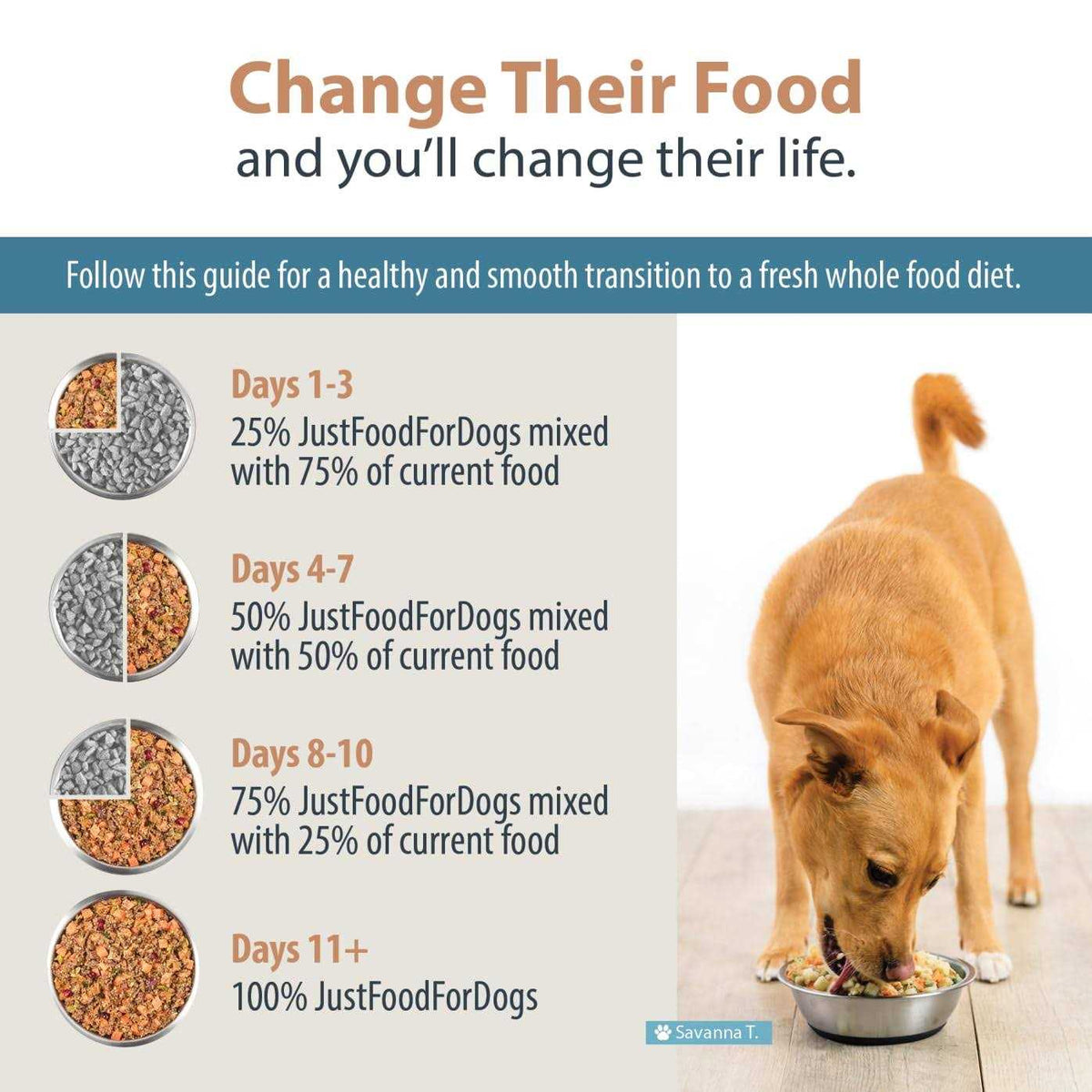 Frozen Fresh Dog Food J697364