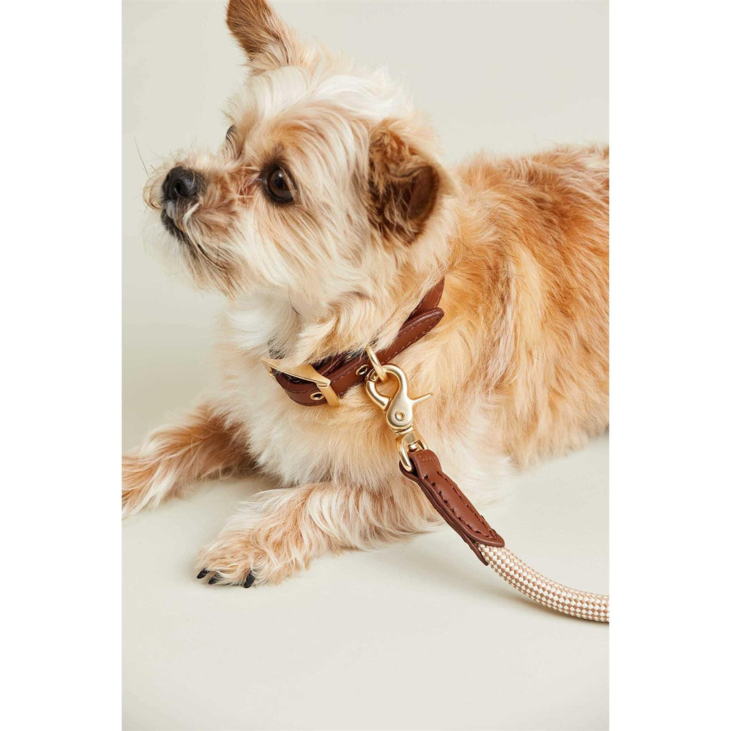 Check Rope Dog Leash A962