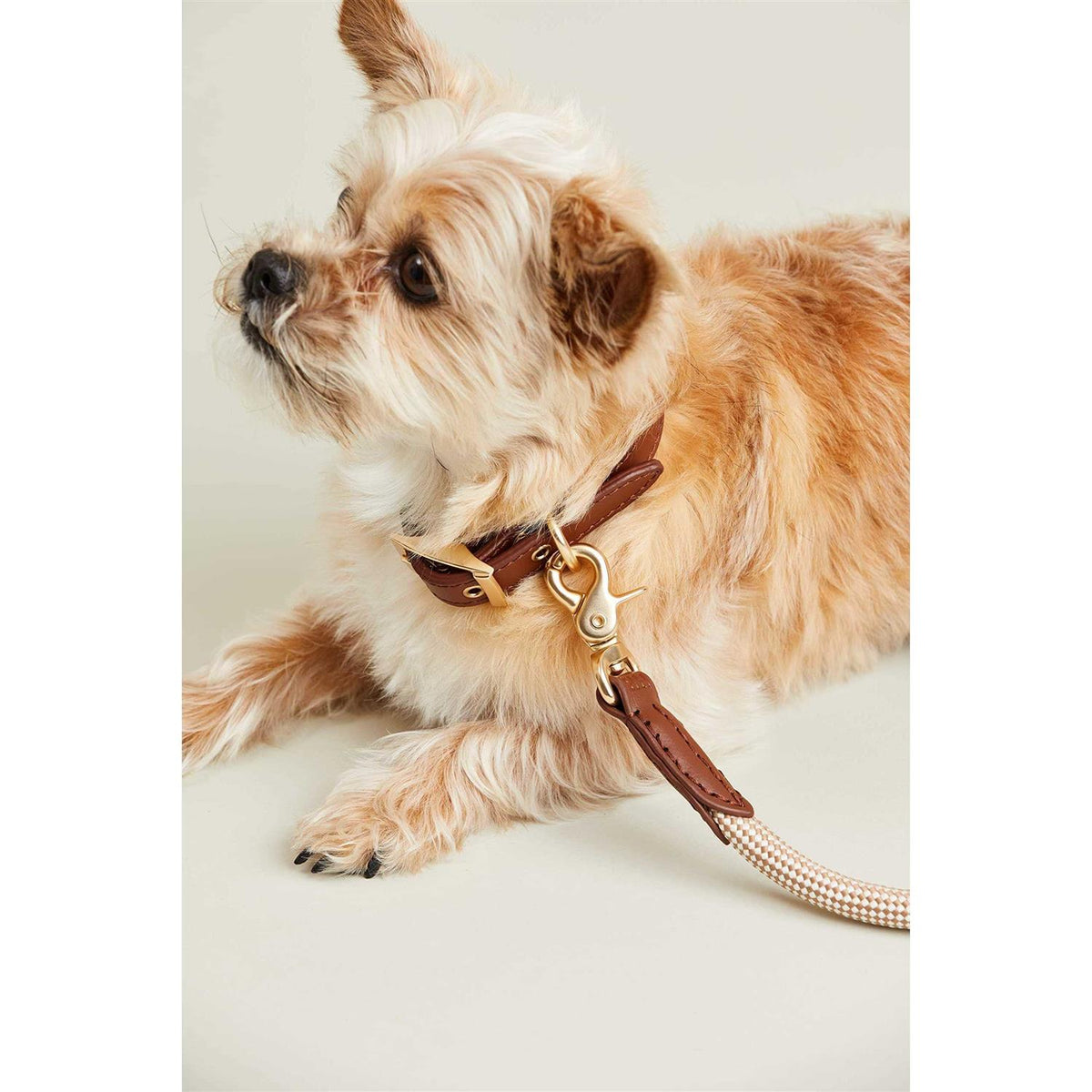 Check Rope Dog Leash A962