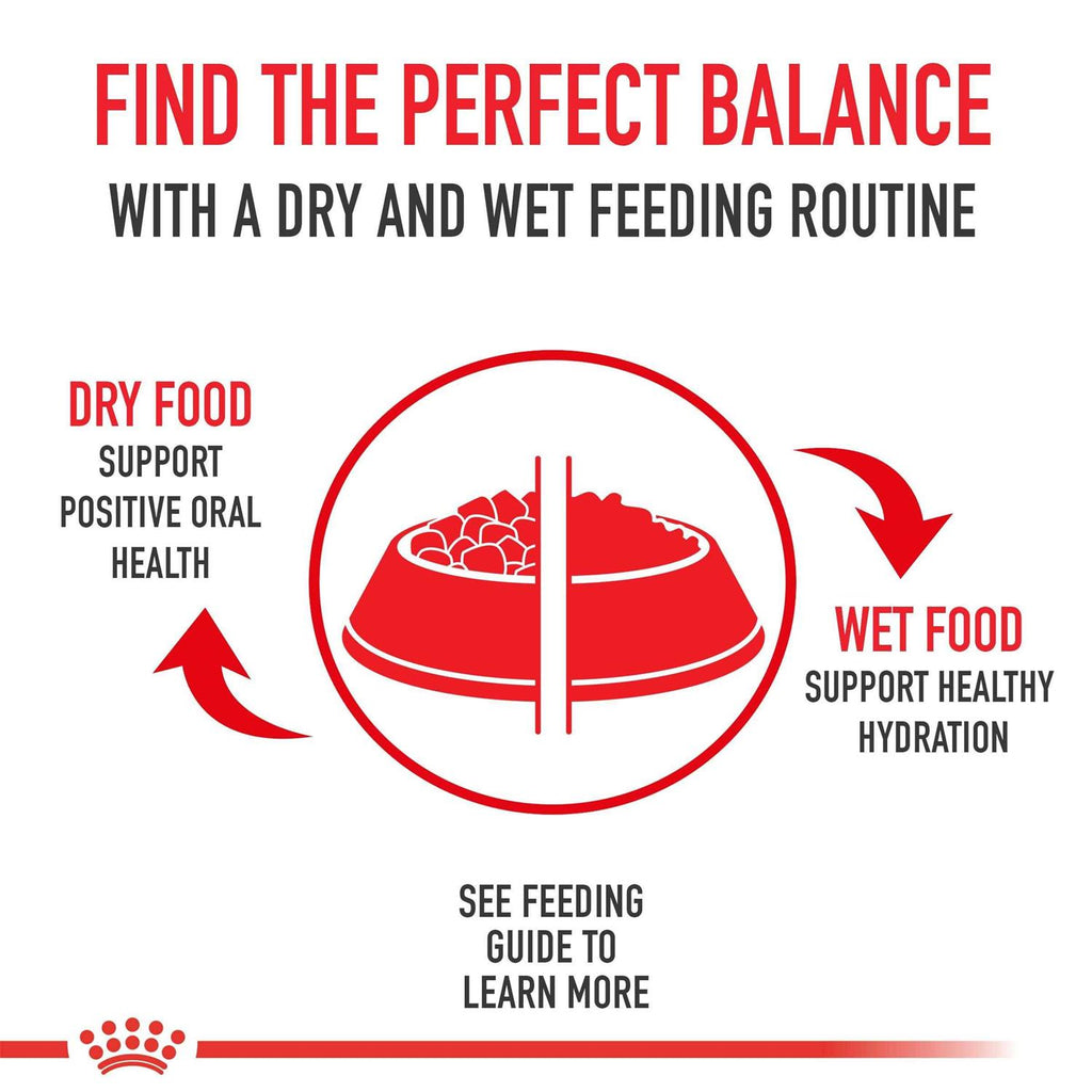 Adult Dry Dog Food F470070