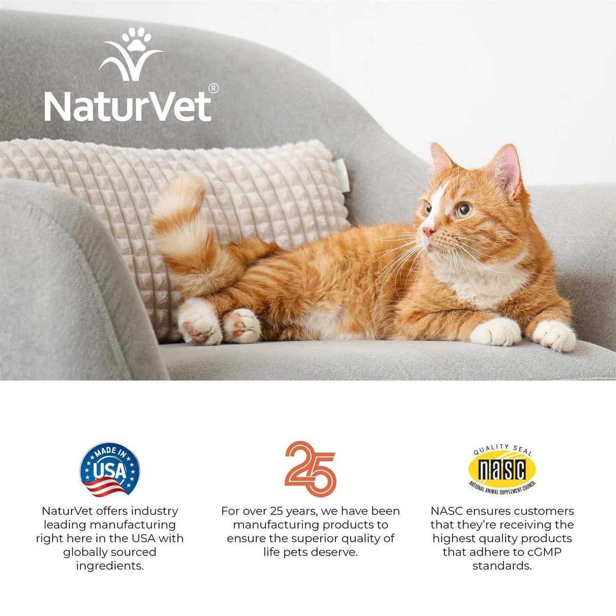 Senior Daily Vitamins Plus Glucosamine Cat Soft Chews O150642