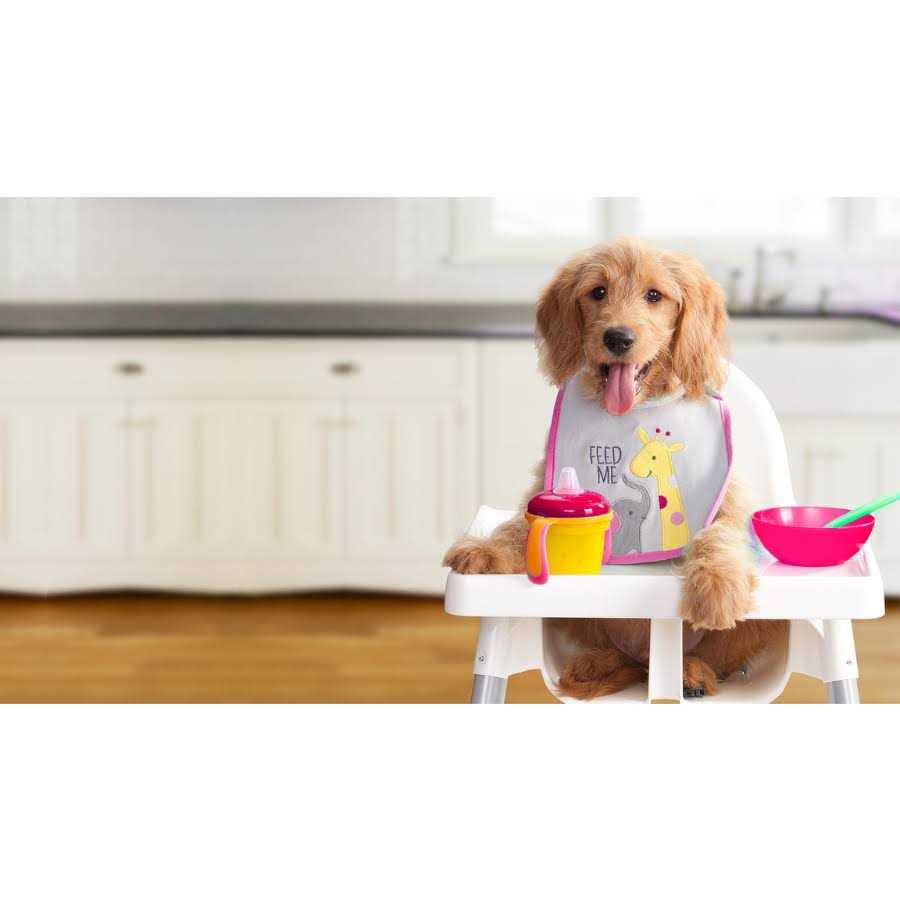Dry Dog Food X6597