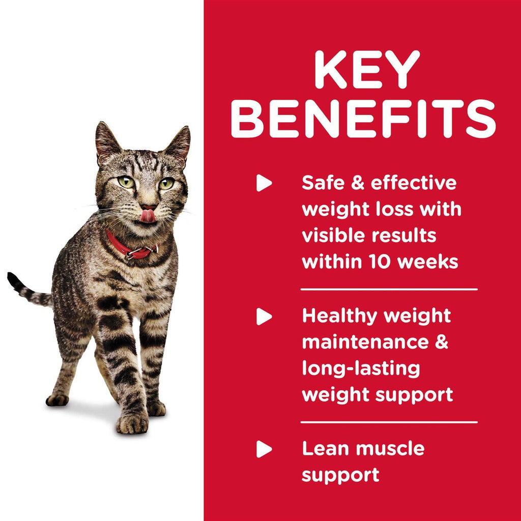 Adult Perfect Weight Cat Food Y69741
