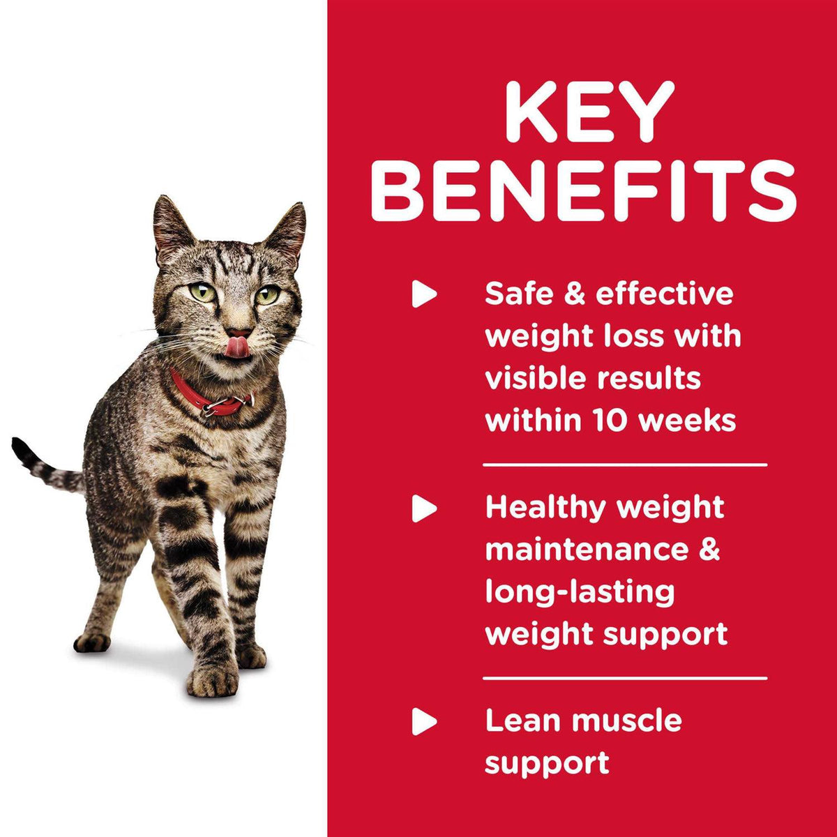 Adult Perfect Weight Cat Food Y69741