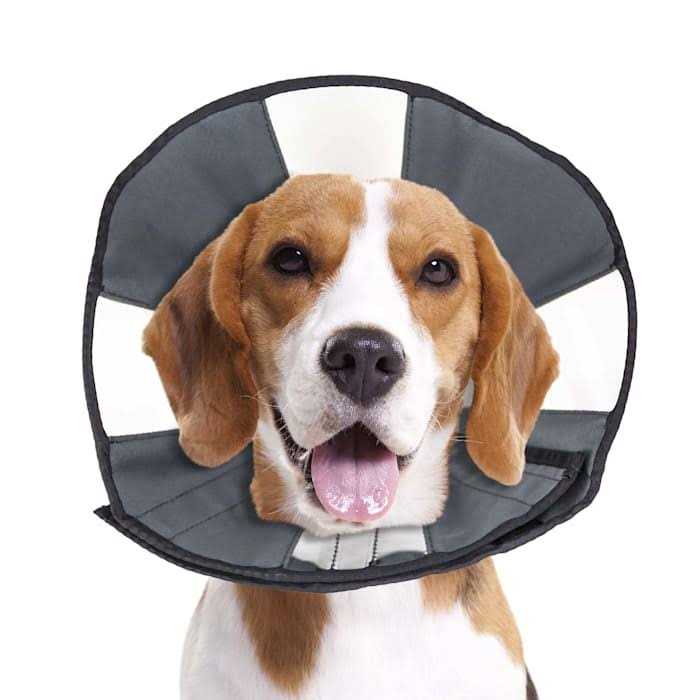 Soft Recovery Collar R2307