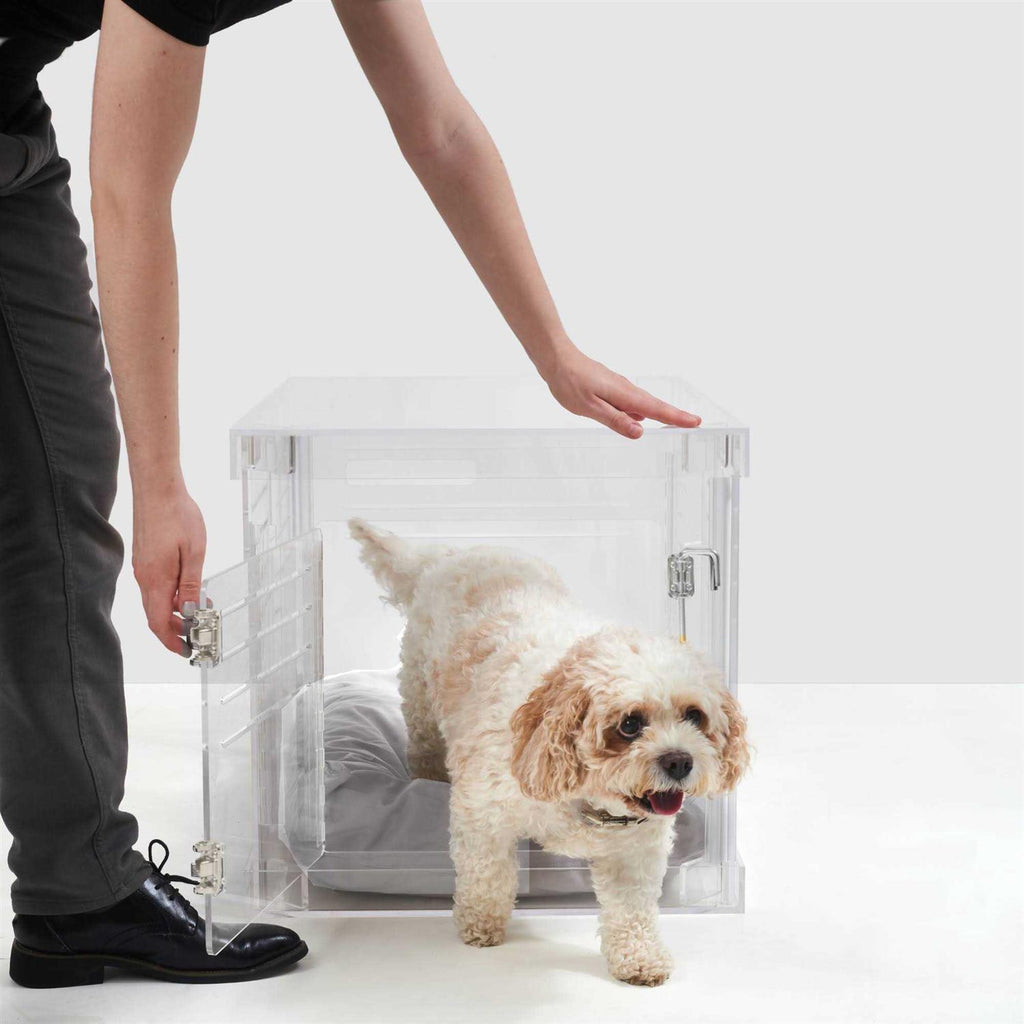 Clear Dog Crate to Gate N4301
