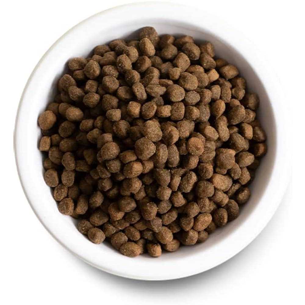 Ancient Grains Puppy Dry Dog Food T737694