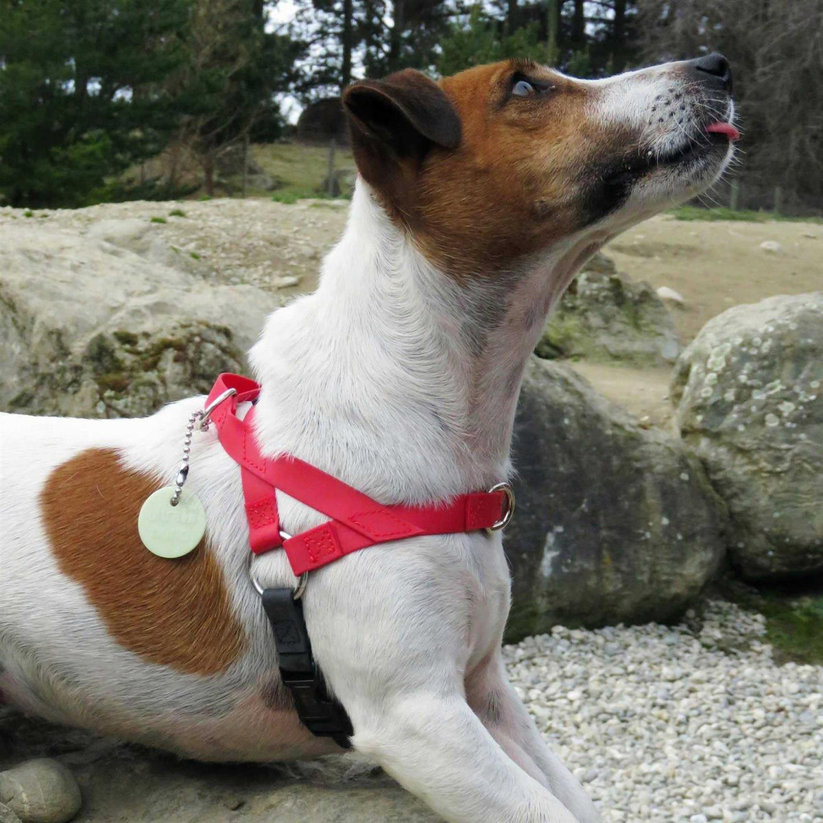 Harness R910163