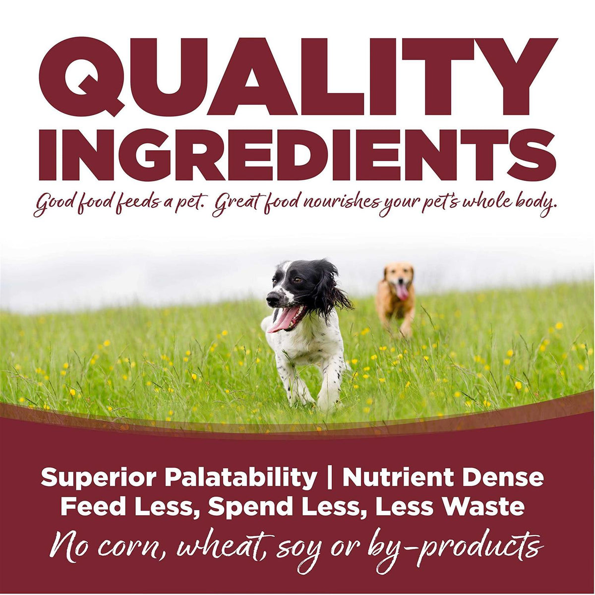 Beef Rice Dry Dog Food C362