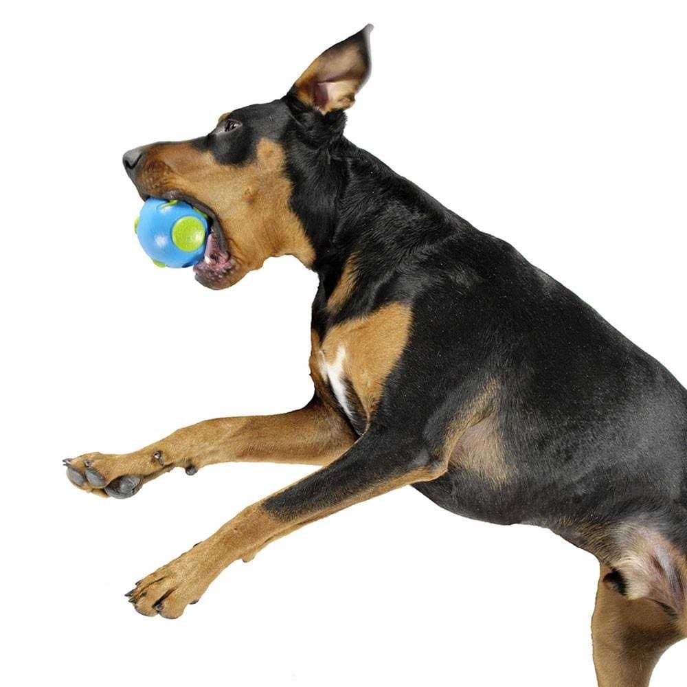 Blue Ball V633653