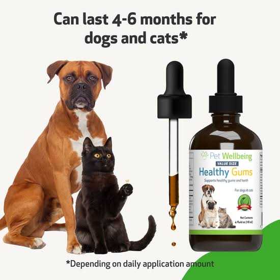 Healthy Gums for Feline Periodontal Health V24645
