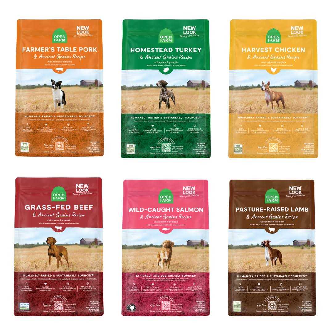 Ancient Grains Puppy Dry Dog Food T737694