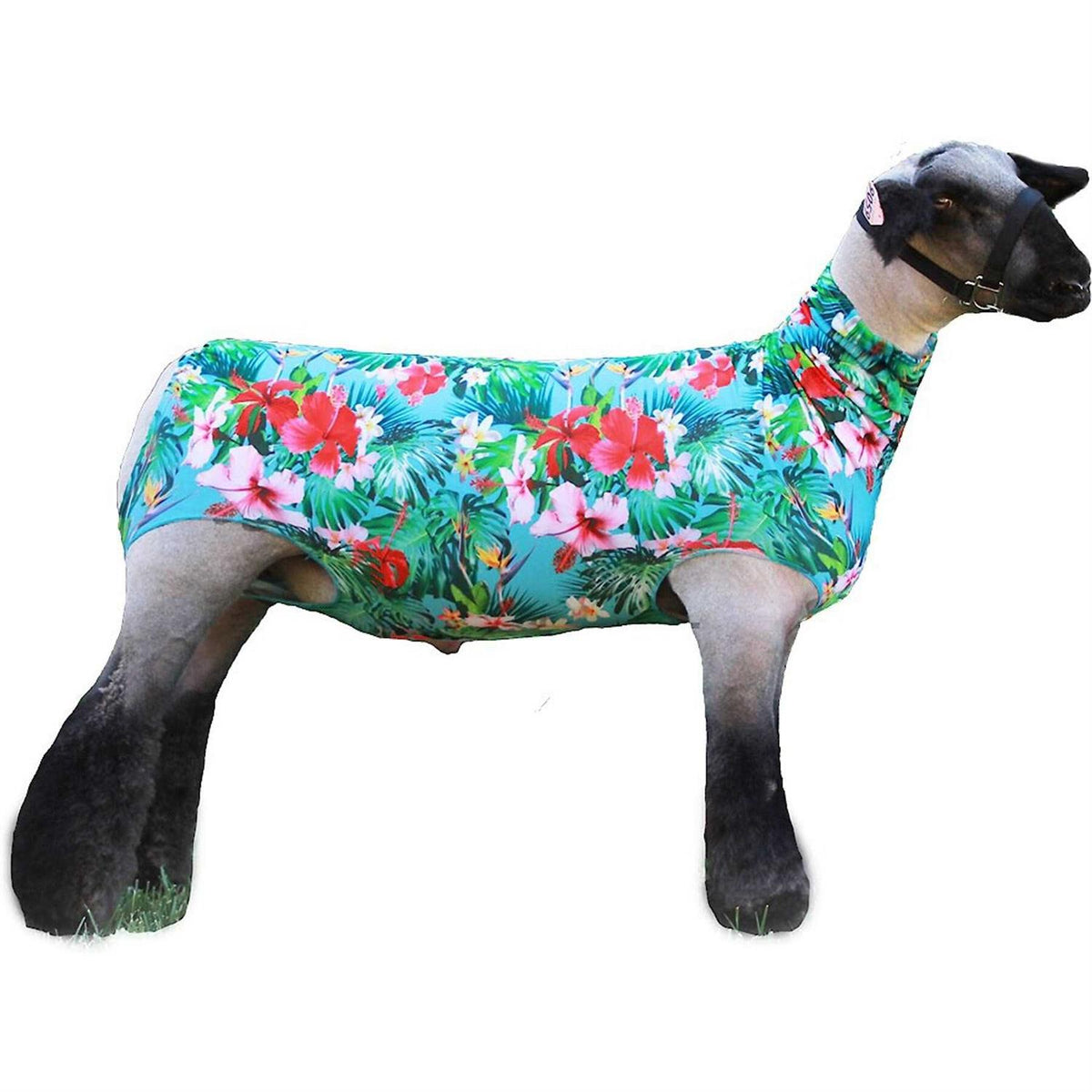 Spandex Lamb Tube W411