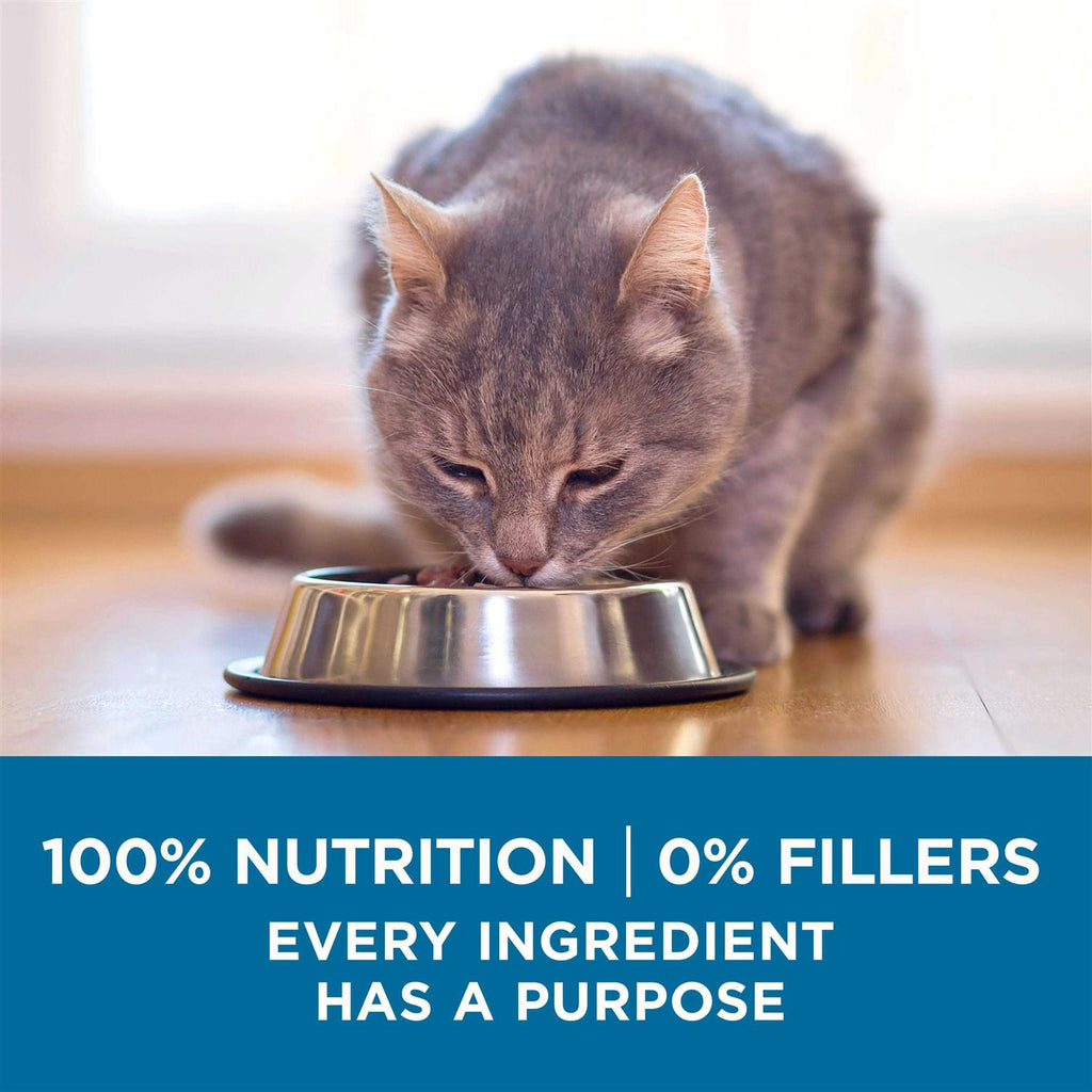 High Protein Natural Senior Dry Cat Food R92506