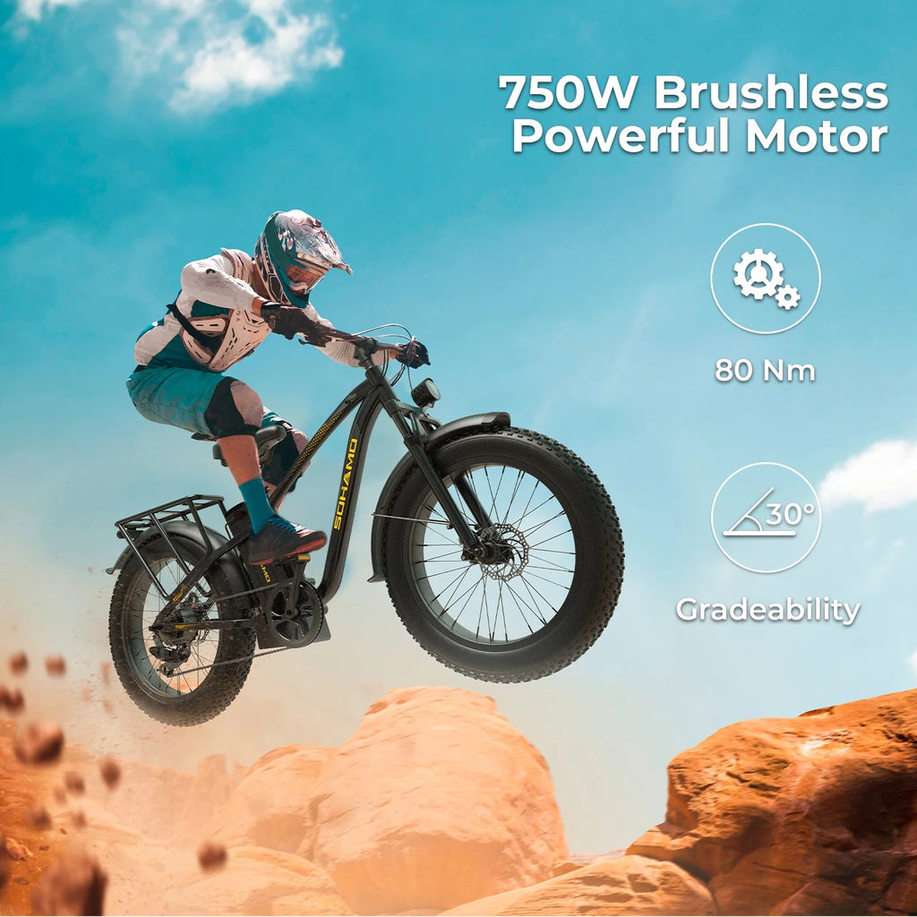 750W 48V 15Ah Fat Tire Electric Mountain Bike A31393