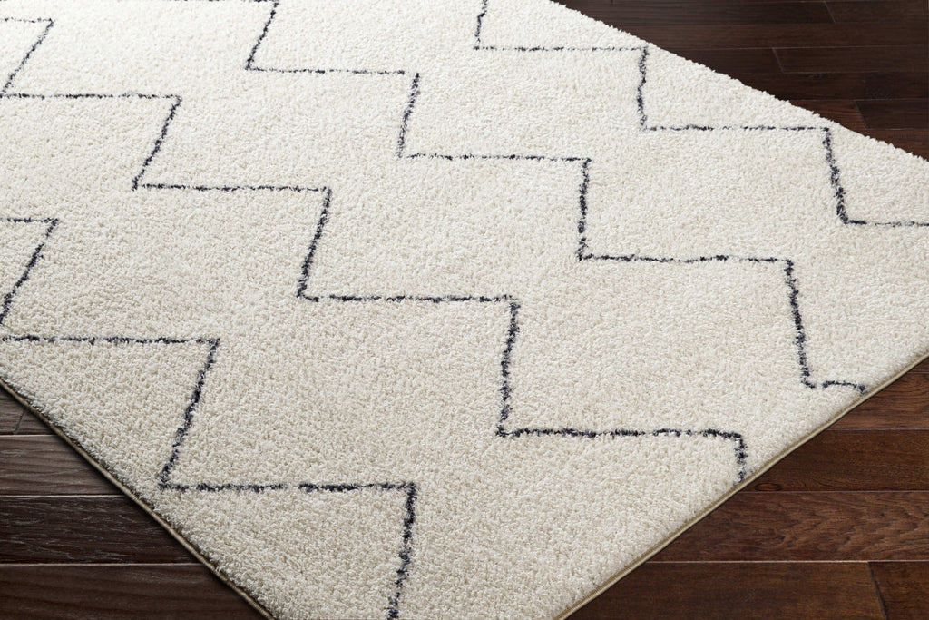 Washable 5x7 Cream Black Area Rug I5644