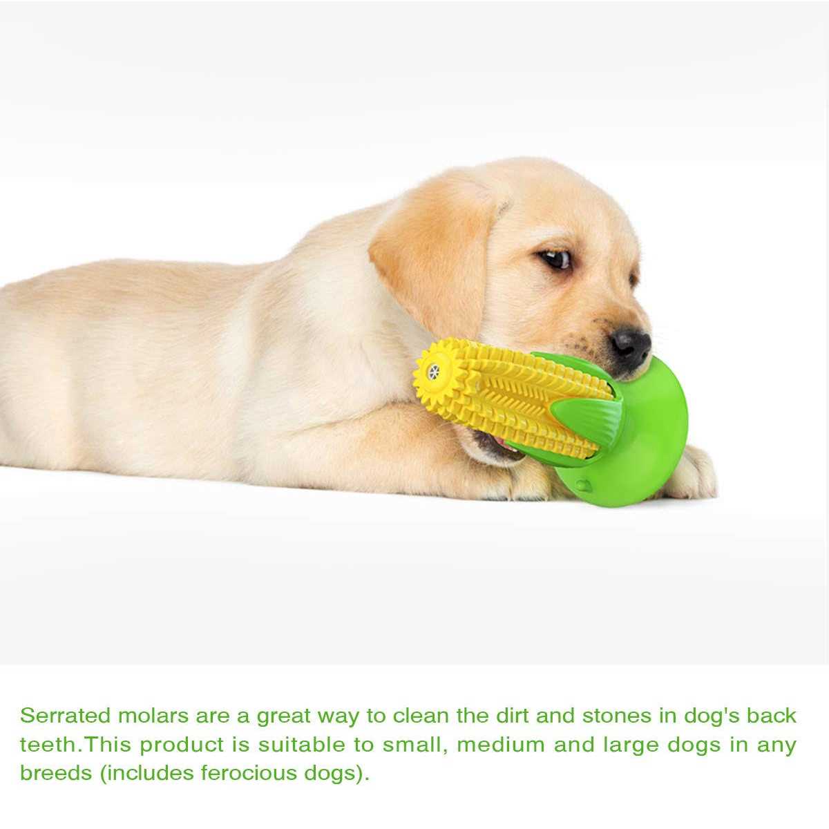 Puppy Teething Chew Toys P158
