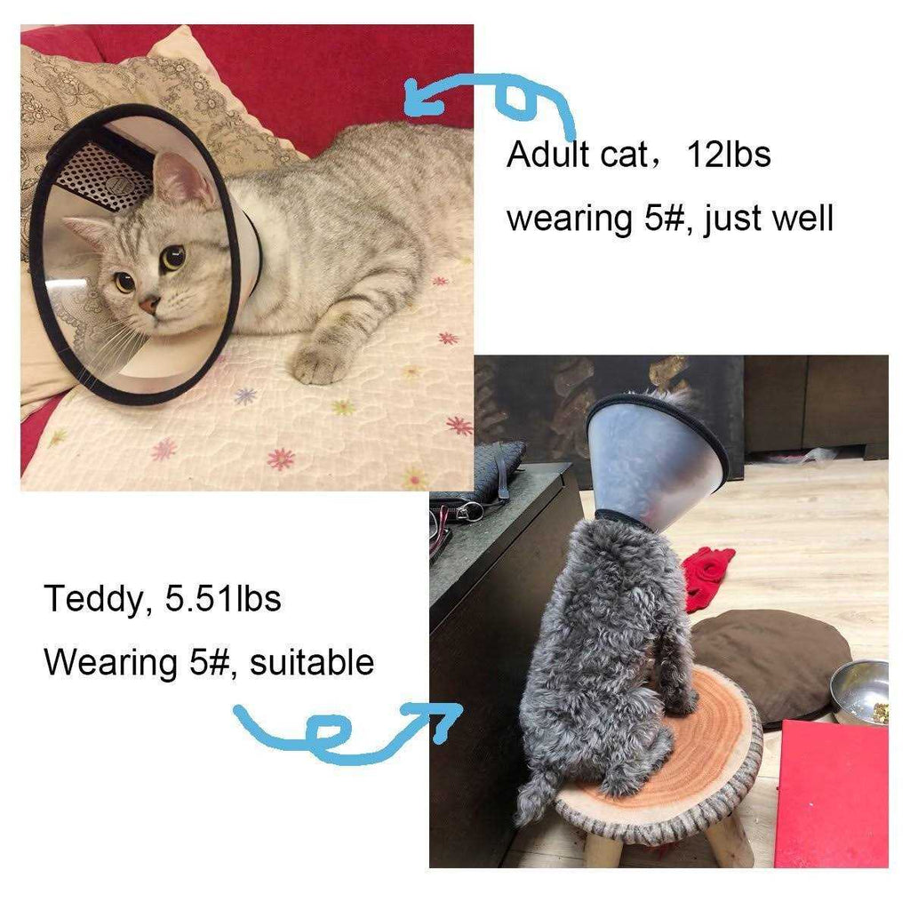 Adjustable Recovery Pet Cone E-Collar F986545