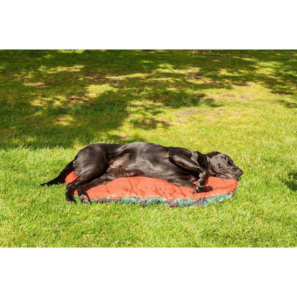 Packable Travel Dog Bed Q5429