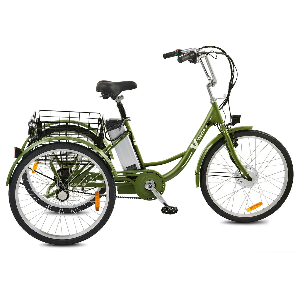 Electric Tricycle 3 Wheel 250W Black G1243