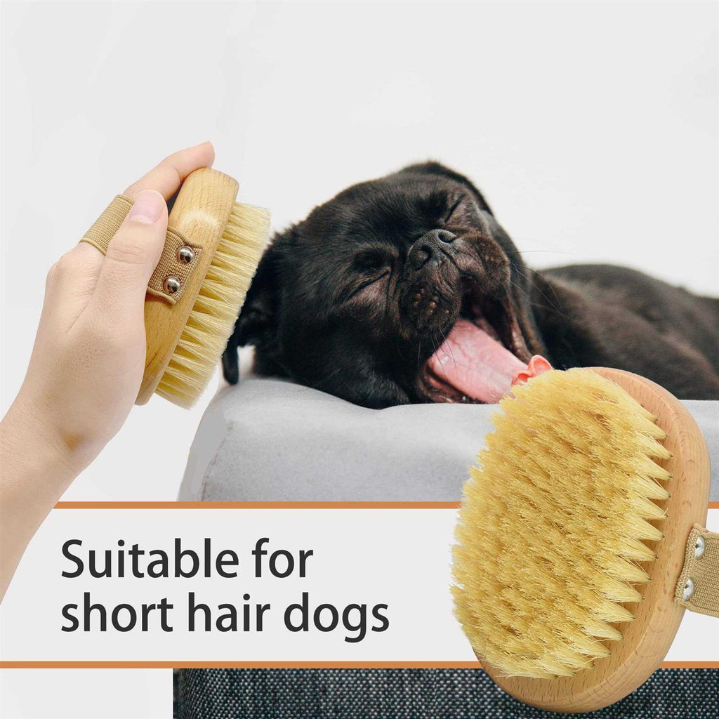 Soft Bristle Dog Brush with Elastic Band U877089