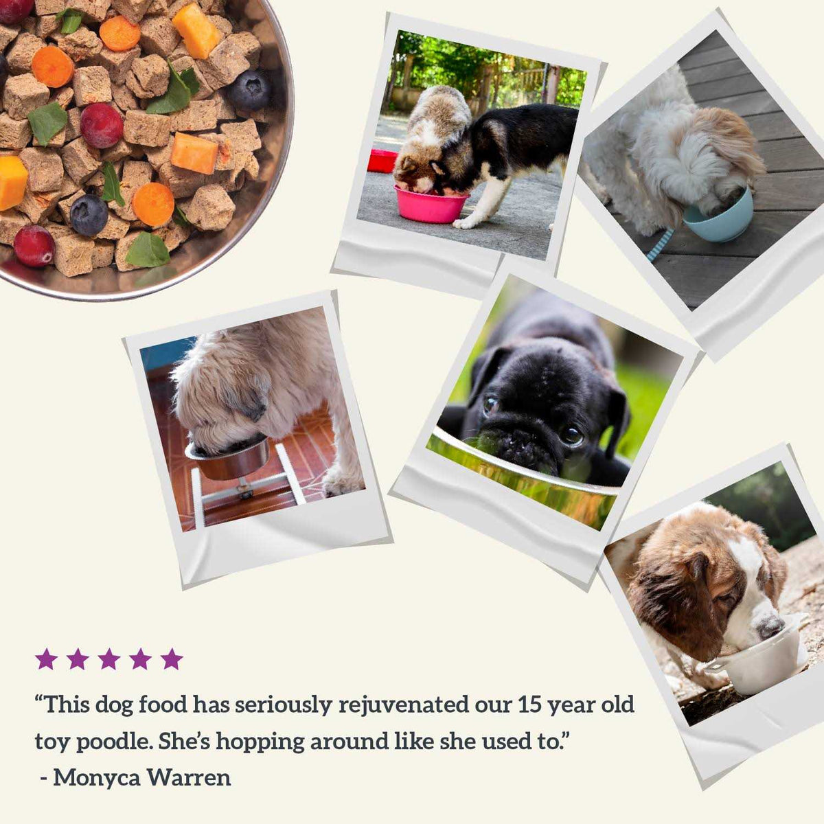 Air Dried Chicken Recipe Dog Food T3361