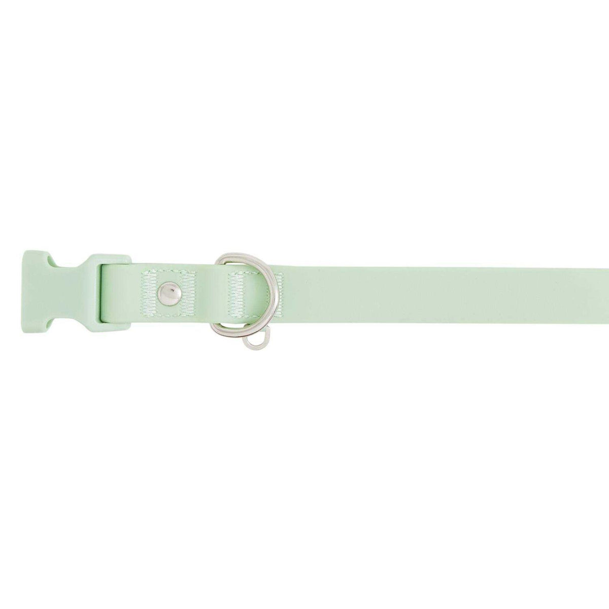 Dog Collar N22290