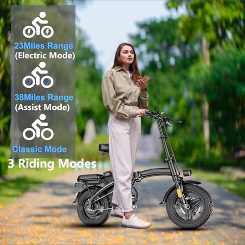 Peak 500W 23MPH Folding Electric Bike 48V 12AH P523