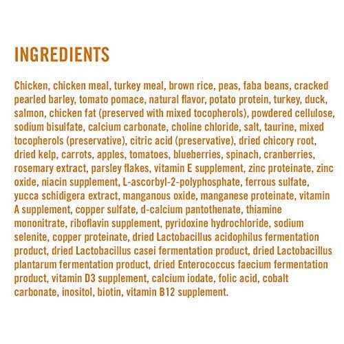 Chicken Brown Rice Recipe Dry Cat Food V99097