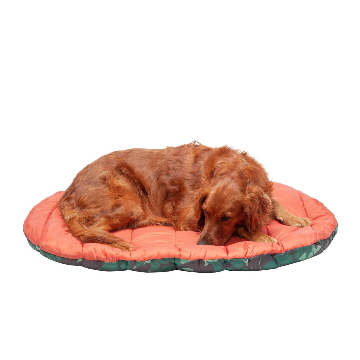 Packable Travel Dog Bed Q5429