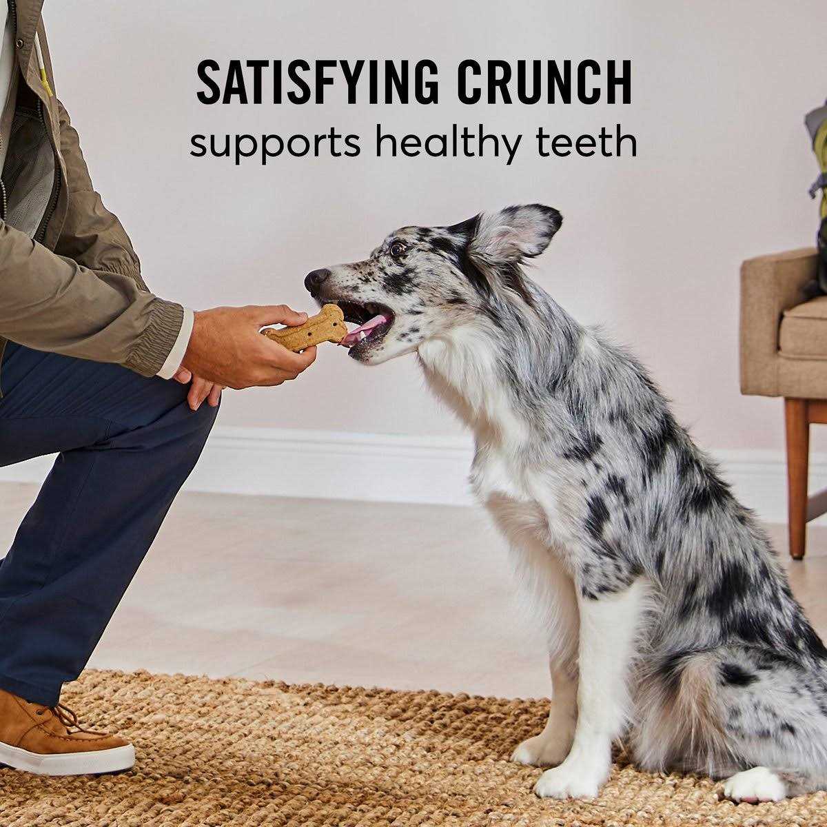 Chicken & Rice Flavor Large Biscuit Dog Treats L397