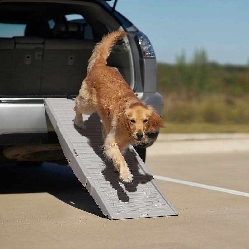 Tri-Fold Travel Dog Car Ramp D284804